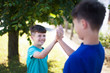 © sakkmesterke - Happy little boys high five outdoors in park