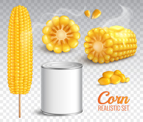 Poster - Realistic Corn Transparent Set