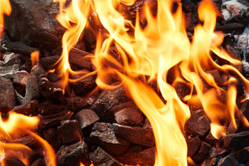 Orange wild fire burning on black coal and ash, prepared for barbecue grill