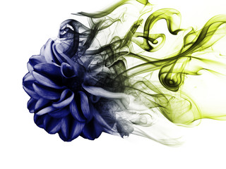 Wall Mural - a flower of smoke