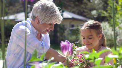 Canvas Print - gardening, family and people concept - happy grandmother and granddaughter planting flowers at summer garden