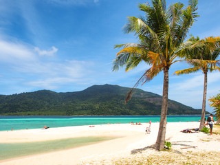 Poster - Coconut tree on white sand beach with turquoise water sea and clear blue sky in sunny summer day at Koh Lipe island in Thailand for holiday or vacation concept.