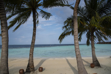 Wall Mural - Tropical beach at lagoon in Maldives