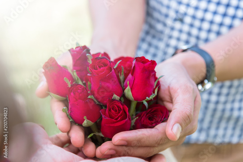 red rose for girlfriend images