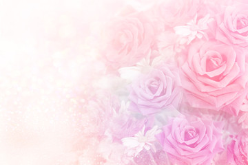 soft roses flower background in sweet pastel tone with bokeh 