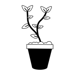 Poster - Plant in pot vector illustration graphic design