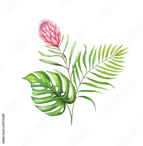 Naklejka na kafelki Akwarela tropikalnych liści i kwiatów na białym tle