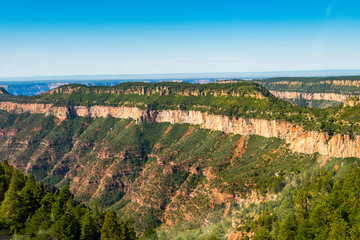 Wall Mural - aerial view of grand canyon national park, arizona