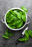 Fototapeta Tematy - Spinach. Fresh spinach leaves