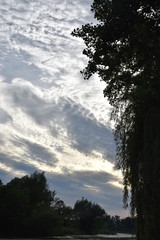 Wall Mural - summer sky - early evning