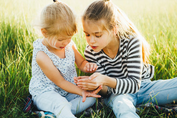 Little girls are looking at insects in the green grass on the field.