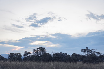 Wall Mural - Dusk over grassy field