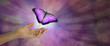 Spirit Release depicted by a magenta Butterfly taking flight - female hand with open palm and a large magenta pink butterfly rising up and away against a purple bokeh background and copy space

