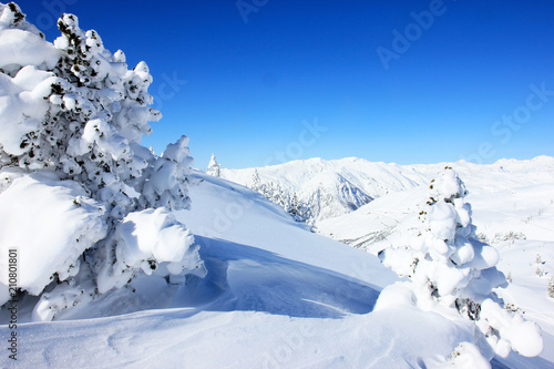 Obrazy Pireneje  sporty-zimowe-narty-na-nartach-surfing-ferie-zimowe-lawina-alpy-pireneje