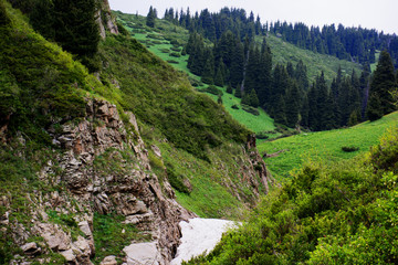 Wall Mural - Snow to the summer mountains. Kazakhstan landscape.