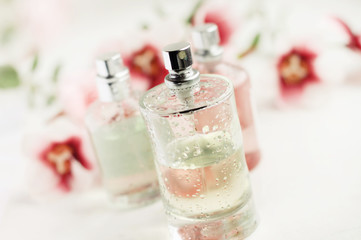 Spray bottle of floral feminine perfume closeup, soft light and focus, fresh drops on glass, delicate light dreamy background flower decor, pastel colors, diagonal. 