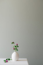 A Floral Setting With A Ceramic Vase Filled With Blooming Clovers On A White Table Top Against A Muted Grey Green Wall.