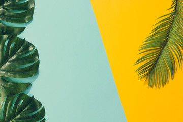 Wall Mural - creative layout made of colorful tropical leaves on yellow and blue background. minimal summer exoti