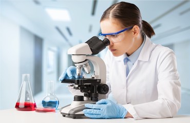 Wall Mural - microscope.
