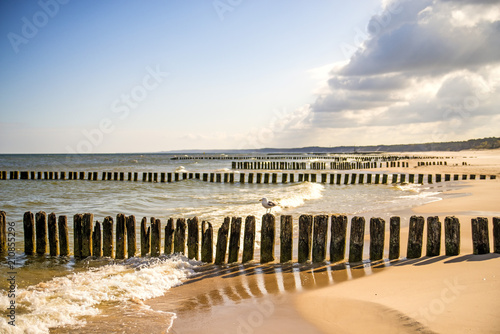 beach of Baltic Sea, Poland with groins Fototapet