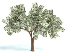 3d Illustration Of A Money Tree