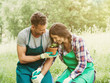 Loving couple have fun in gardening. The man approaches a basil plant to the woman's nose to make her smell