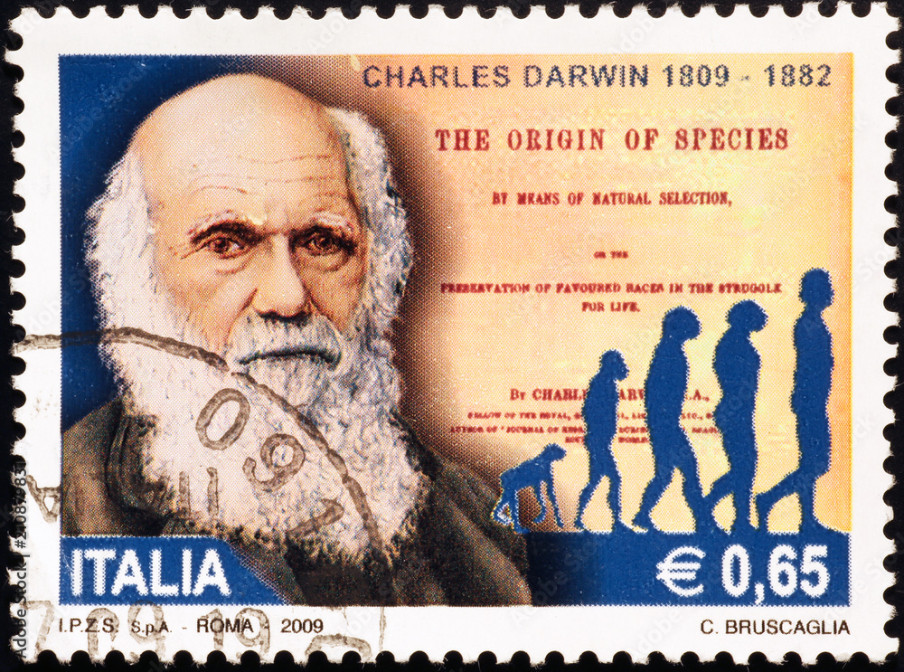 Charles Darwin celebrated on italian postage stamp - obrazy, fototapety, plakaty 