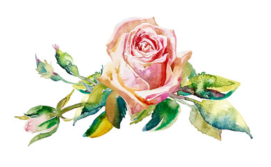 Sticker - decorative hand painting of rose isolated on white