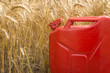 Fuel for agricultural machines. Gas can in the wheat field. Bio diesel and petrol concept.
