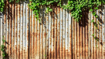 Rusted galvanized iron plate wall