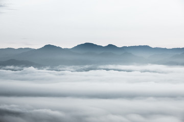 sea of clouds over the forest, Black and white tones in minimalist photography