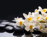 Fototapeta Desenie - lying on branch white orchid and wet black stones 