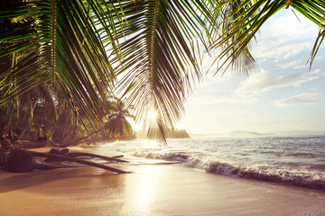 Canvas Print - Coast in Costa Rica