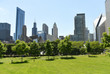 Downtown Chicago view from Grant park