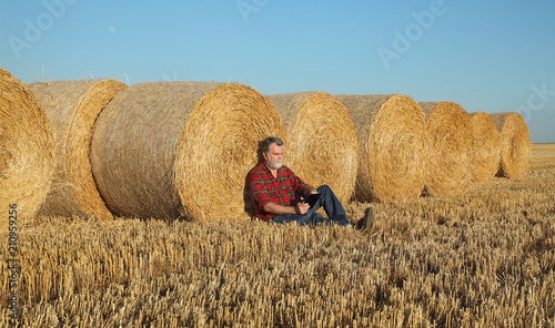 Fotomural Farmer or agronomist sitting and examining wheat field after harvest using table