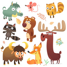 Cartoon Forest Animal Characters. Wild Cartoon Cute Animals Collections Vector. Squirrel, Mouse, Raccoon, Boar, Fox, Buffalo, Bear, Moose, Bird. Isolated