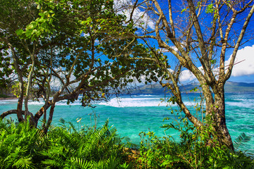 Wall Mural - fabulous Caribbean seascape