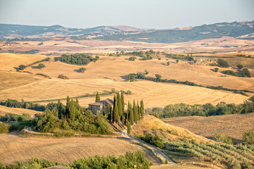 Wall Mural - beautiful typical countryside summer landscape in tuscany, italy