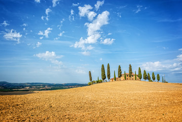 Wall Mural - typical landscape of a farm with a row of cypress trees in tuscany, italy