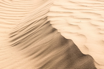 Texture of sand dune in desert