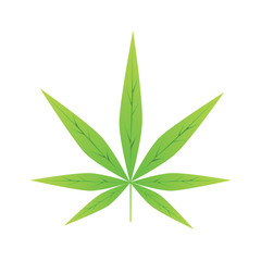  Cannabis leaf icon isolated vector illustration