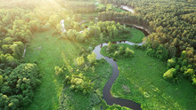Aerial View From Drone- River In The Forest