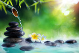 Plumeria Flowers In Japanese Fountain With Massage Stones And Bamboo - Zen Garden
