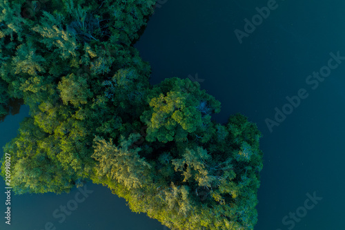 Fotografie, Obraz Árvores dentro da lagoa da Barra da Tijuca - Rio de Janeiro