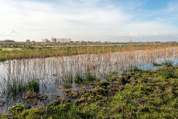 Sticker - Wet nature reserve with a creek and a marshy bank