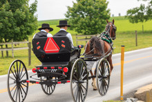 Two Youbng Amish Men In An Open Buggy