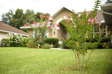 Front Door With Arc Florida Style Home. Tan Color With Crepe Myrtle Tree Out Front. Front Door Delivery. Real Estate.	