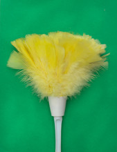 Yellow Feather Duster On Green