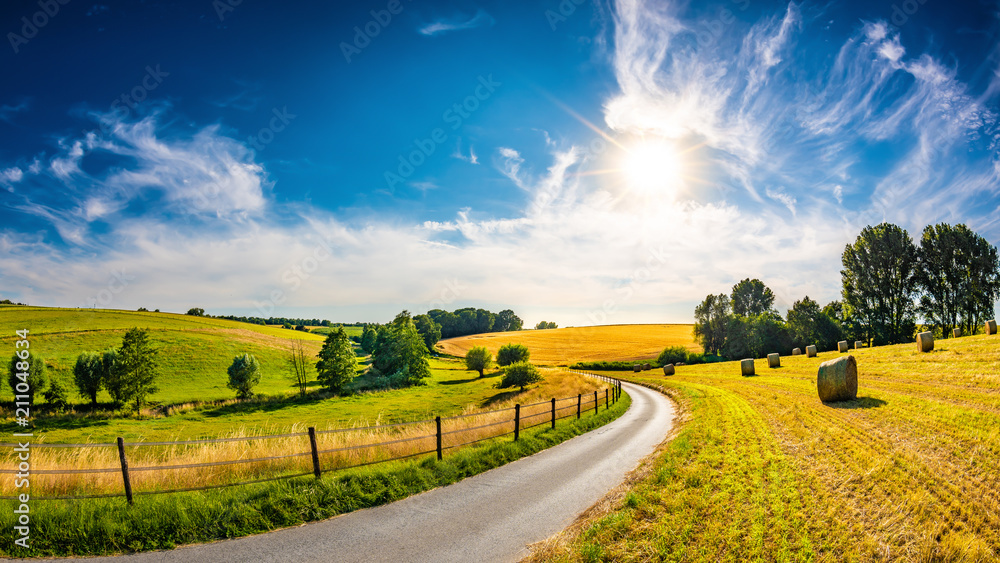 Landscape in summer with bright sun, meadows and golden cornfield in the background - obrazy, fototapety, plakaty 
