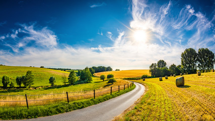 landscape in summer with bright sun, meadows and golden cornfield in the background